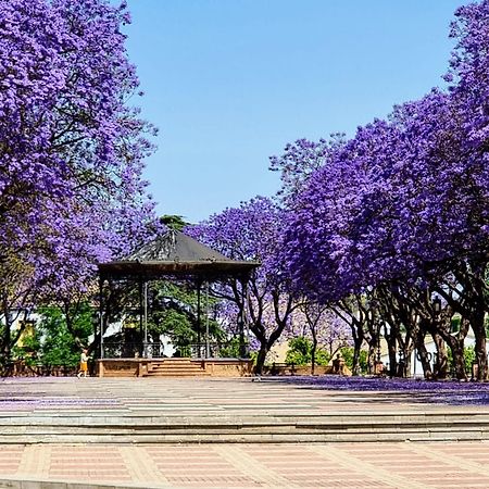 شقة Alazan Jerez Iv-Parking Gratis-Wifi-Netflix جيريز المظهر الخارجي الصورة
