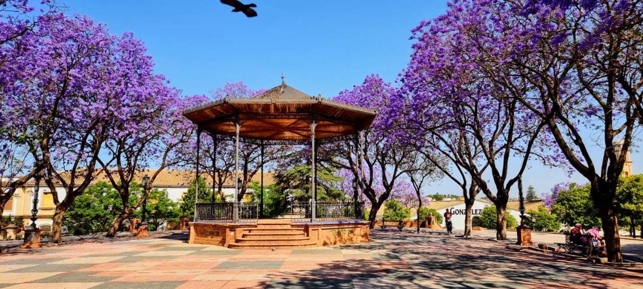 شقة Alazan Jerez Iv-Parking Gratis-Wifi-Netflix جيريز المظهر الخارجي الصورة